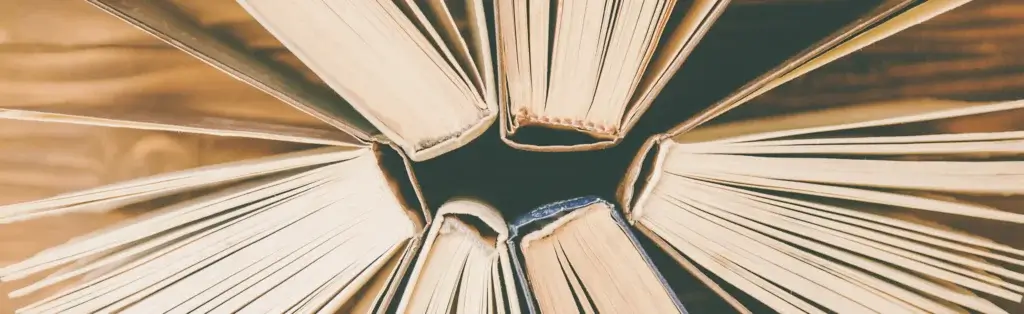 Rückenstärke berechnen beim Buch: Verschiedene Buchrücken aneinander