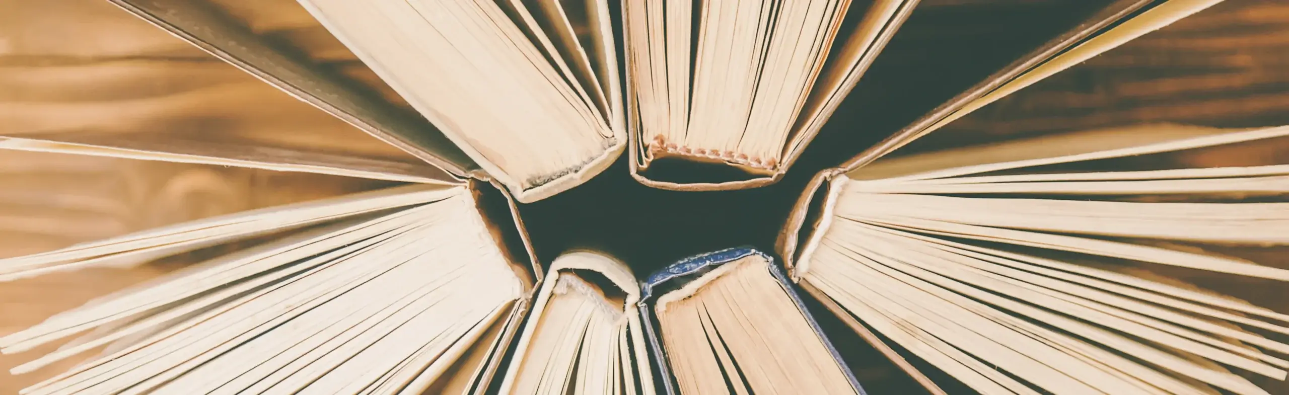 Rückenstärke berechnen beim Buch: Verschiedene Buchrücken aneinander